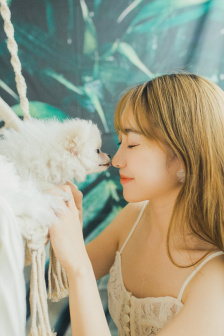 灰姑娘与四骑士